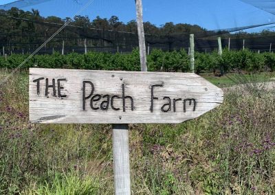 The Peach Farm Tour